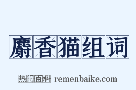 麝香猫组词是什么意思的图片